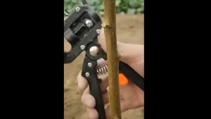 Kéo tỉa cành Kéo cắt ghép cành cây đa năng - Cắt CànhGhép CànhTỉa CâyChiết Cành