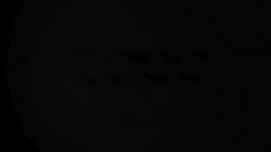 tp-link Tapo C425 KIT Solar-Powered Security Camera Kit | TP-Link Tapo by EJD