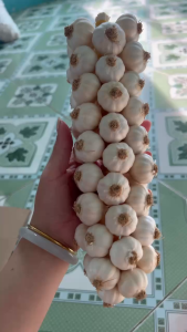 TỎI LÝ SƠN SUNI GARDDEN TẾT CHÙM 500G - ĐẶC SẢN LÝ SƠN CHÍNH GỐC