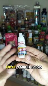 Obat Anti Nyilet dan Anti Kurus menyembuhkan burung nyilet karena infeksi penyakit dalam