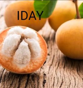 1kg buah kecapi segarbuah kecapi Matengmanisasam