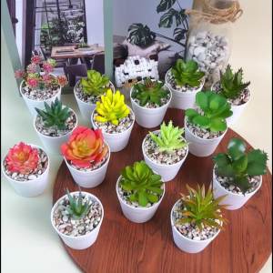 Kaktus Skulen Latex Mini Artificial Flower Dekorasi Ruang Tamu Cafe Ornamen Buatan Cantik PBP204