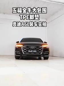 WUFUJINNIU | Đệm Lót Ô Tô Bọc Toàn Bộ TPE
