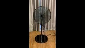 Quạt Cây Đứng Steba VTS6 Quạt Điện Quạt Máy Quạt Cây Thân Thép Đường Kính 43cm Công Suất 50W 3 Chế Độ Mát Hẹn Giờ Tắt Góc Quay Rộng Không Gây Ồn Nhập Đức Bảo Hành 12 Tháng