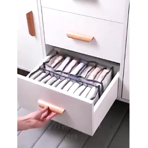 Underwear Organizer Storage Wardrobe Cabinet Clothes Storage Box Bra Panty Organizer