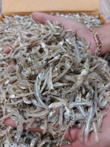 🌟 ปลากระตักหรือปลาจิ้งจั้งแห้ง 🌟 ติดหัว เค็มน้อย  ไม่ใส่สารกันบูด สดใหม่ทุกวัน เสริมสร้างแคลเซียม (1000 กรัม ราคา 180 บาท)