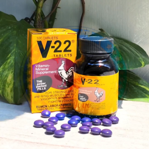 V22 BEMON (ayam putih) full Power - memperkuat otot sayap pada ayam