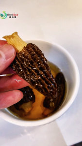 羊肚菌干货 云南特产野生特级 家庭滋补食材 Morel Mushroom SoupWild SpecialtyDried Herbs