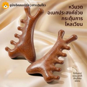 แปรงสีฟันทรงหัวกลมทำจากไม้สังข์สำหรับใช้ดูแลผม แปรงสีฟันแบบลำลองสำหรับใช้ในบ้าน สำหรับผู้ชายและผู้หญิง แปรงสีฟันแบบยาวและหนา ไม่ทำให้ร่างกายหลุดร่วง