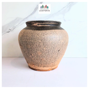 The Leaferie Pico Flowerpot flowerpots flower pot plant pots planter planters Ceramic