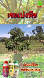 พืชเจริญเติบโตสมบูรณ์ต่อเนื่อง กระตุ้นการแตกราก พืชเขียวทน เขียวนาน ต้านทานโรคและแมลง ชุดเบ่งพืช 4 ชุด เพิ่มพลังงานเก็บสะสมในรูปของแป้งและน้ำตาล