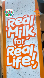 Milk Life Susu UHT Promo 1 Dus isi 40pcs - Susu UHT Mill Life 115m