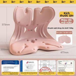 BKT | Gối Hỗ Trợ Lưng Ergonomic