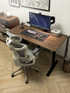 Musso | Eco-friendly Electric Adjustable Desk Solid Wood