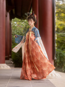 Original Hanfu Tunic Skirt Ancient Chinese Dynasty Style Chest Length Floral Print Three Pleat Skirt Traditional Cultural Clothing