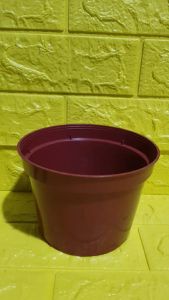 3 pcs./set – Premium Quality Plastic Orange Pot (Ht. 5.5 Inches Opening 7 inches) with FREE Philodendron Temptation 2 to 3 leaves with roots