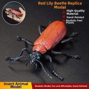 Educational Realistic Insect Models
