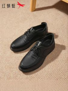 Reddragonfly | Comfortable Genuine Leather Mens Casual Shoes