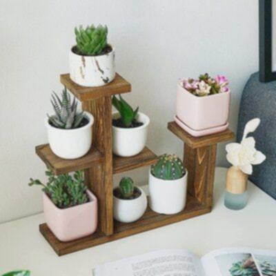 ชั้นวางอเนกประสงค์ ขนาด 4 นิ้ว สำหรับกระถางต้นไม้และโมเดล