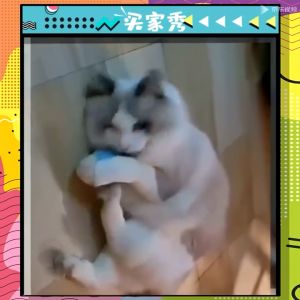 Pet Gravity Bird Frog Cricket Sound Cat Plush Ball Fun Toy with Catnip