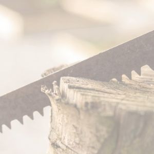 คีม คัด คลอง รุ่น ไอ้โม่ง ปากจิ้งจก ปากคม คีม ตัด หนีบ ฟัน ลับ เลื่อย โซมิค somic