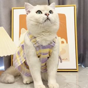 váy đầm baby doll ca rô xếp tầng dành cho chó mèo -T3 PETS SHOP