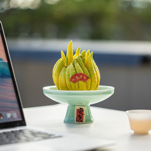 Retro Multifunctional Ceramic Tray