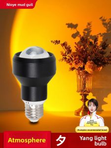 NIOYE | Atmospheric Sunset LED Light Bulb E27