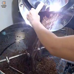 [Coffee Icon] Single Origin Specialty Coffee Bean - I Indonesia Sumatra Gayo Anaerobic 蘇門答臘 亞齊 迦幼山脈 厭氧處理
