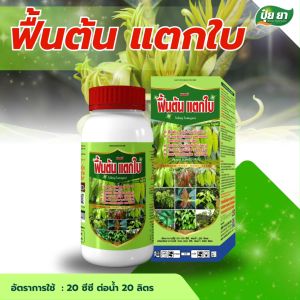 ฟื้นต้น เร่งแตกใบ แตกกิ่ง แตกยอด ฟื้นต้นโทรม หลังเก็บเกี่ยว ฮอร์โมนพืช อาหารเสริม ปุ๋ยยา หลายขนาด