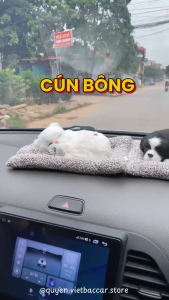 Chó bông cún mèo bông hút mùi khử ẩm mùi ô tô - Việt Bắc Car Store