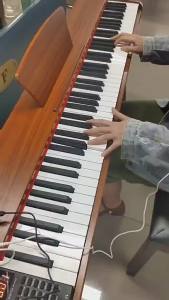 Minsine Piano Keyboard 88 Weighted Keys Full-Size Digital Piano for Beginner Electric Piano Support MIDI Include Sustain Pedal Piano Stand Power Adapter (Color : Brown)