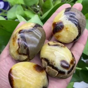 1Pc 5-7cm Septarian Crystal Dragon Stone Healing Crystals Yoga Reiki Meditation Crystal Grid Healing Massage Spa Energy Crystals