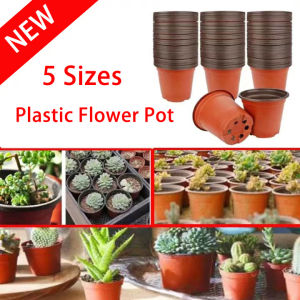 Flower Pots Plastic Plant Pots Indoor with Tray Decorative Planter Containers for Transplanting House Plantsand Seedling