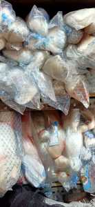 jaring ikan 012 - 1-¼" - 100 /100