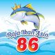 Raja Ikan Asin 86