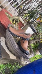 DAKKAR RIMBA - Sepatu Big Size ( 39 - 43 ) 44 45 46 47 48 49 50 - Sepatu Boots Pria Ukuran Besar Big Size Sepatu Jumbo