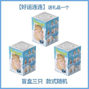 Cute Lulu Pig Collectible Figure Birthday Gift for Girls Desktop Decoration Blind Box Series Travel Theme Can Head Pig Toy