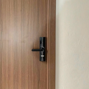 Khóa cửa vân tay thông minh Giovani GLS K591C màu đồng và GLS K591B màu đen cho cửa nhôm cửa gỗ...