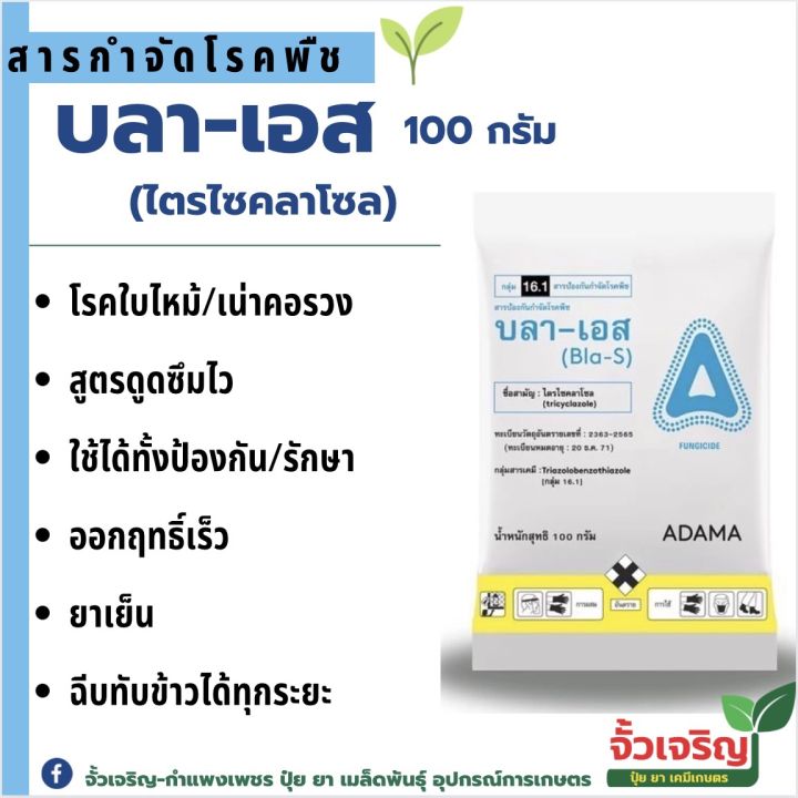 บลา-เอส ป้องกันโรคใบไหม้ในนาข้าว