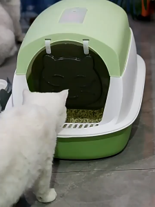 ห้องน้ำแมว กระบะทรายแมวขนาดใหญ่ กระบะทรายแมวพกพา แถมพลั่วตักทรายแมวและถุงดับกลิ่น