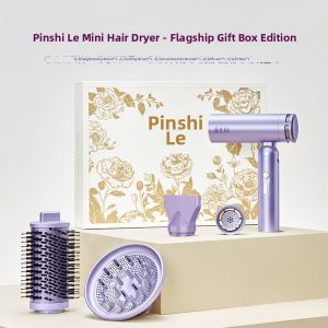 Portable Rapid Drying Ionic Care Hair Dryer