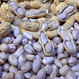 Đậu Phộng Giòn Hương Tỏi Nước Mắm và Ngũ Vị Sấy Nắng