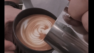 Indonesia Gayo Atu Lintang Black Honey (coffee beans for espresso and filter brewing)