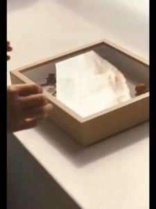 【Ready stock】Flower Frame Box Glass Dry Flower Shadowbox Wood Board Display Creative Crafts Photo Wall Hanging