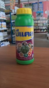 บีแคล (แคลเซียมโบรอน ขนาด 1 ลิตร) ช่วยทำให้เกสรแข็งแรง และผสมเกสรได้ดีกว่าปกติ ป้องกันดอกและผลร่วงและแตก