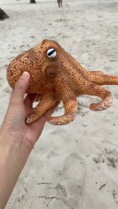 Đồ chơi cho bé Mô hình bạch tuộc nhựa dẻo nhồi bông Quà tặng