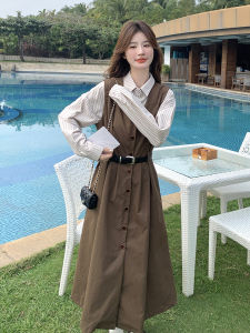 High Waist Vest Dress Set Womens Spring 2025 New Striped Shirt Dress Two Piece Set Korean Style Casual A-Line Skirt
