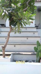 NMR Setelan Kulot Tunik Linen Plain Vol 1906-8