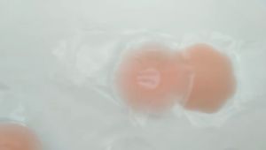 ที่ปิดจุกนม ปิดจุกแปะปิดนม ที่แปะจุก ซิลิโคนปิดจุก แบบกลม แบบดอกไม้ สีชมพู สีเนิ้อ gc99